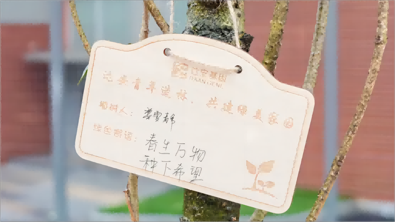 东升国际官网-相信品牌力量