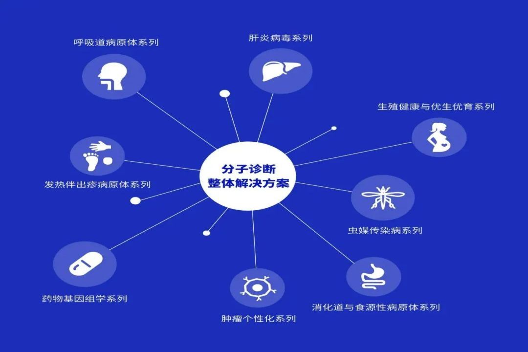 东升国际官网-相信品牌力量
