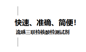 东升国际官网-相信品牌力量