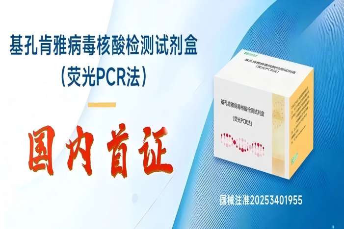 东升国际官网-相信品牌力量