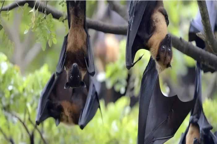 东升国际官网-相信品牌力量